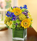 Fields of Europe for <br>Summer in Cube Vase Davis Floral Clayton Indiana from Davis Floral